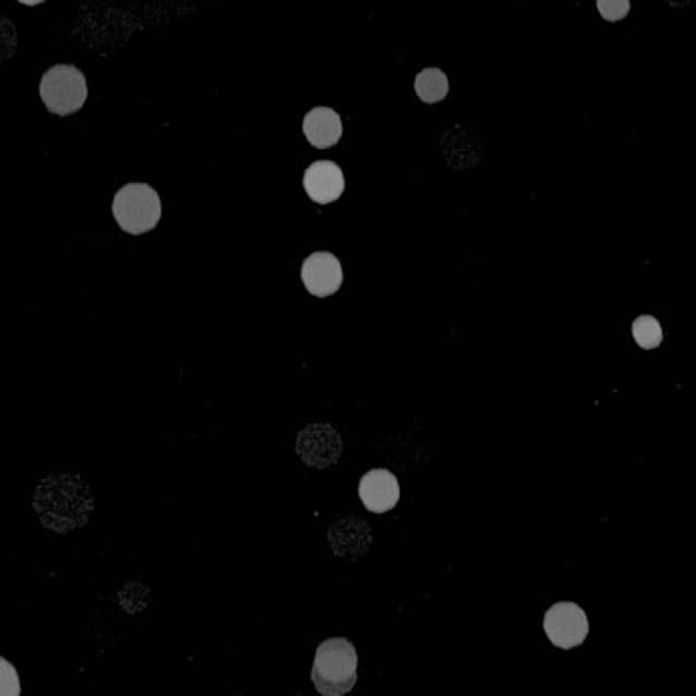 Air Particles - 010