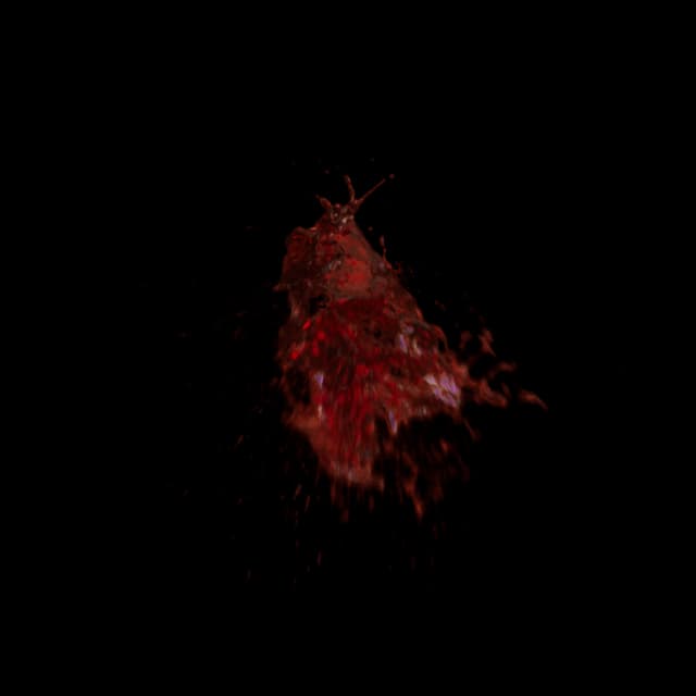 Blood Hit - Front - 016