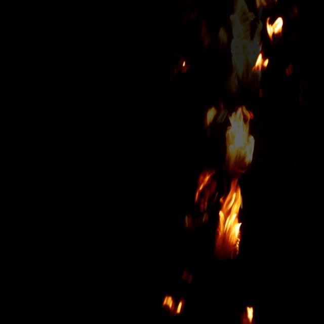 Fire Debris - 019