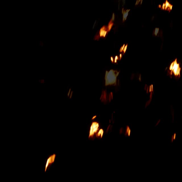 Fire Debris - 021