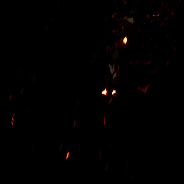 Fire Debris - 027