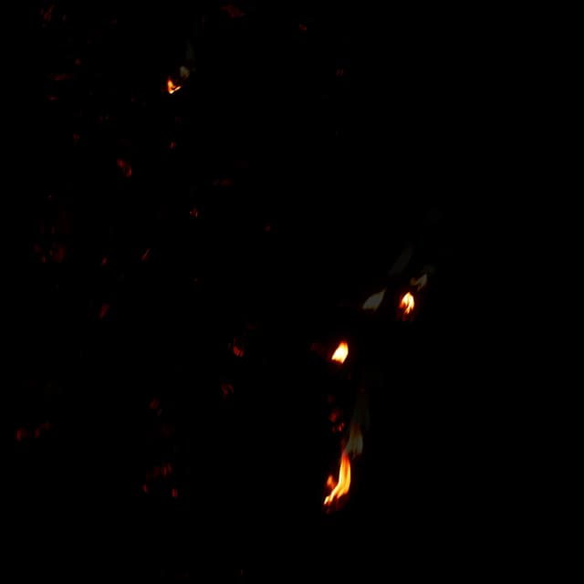 Fire Debris - 030