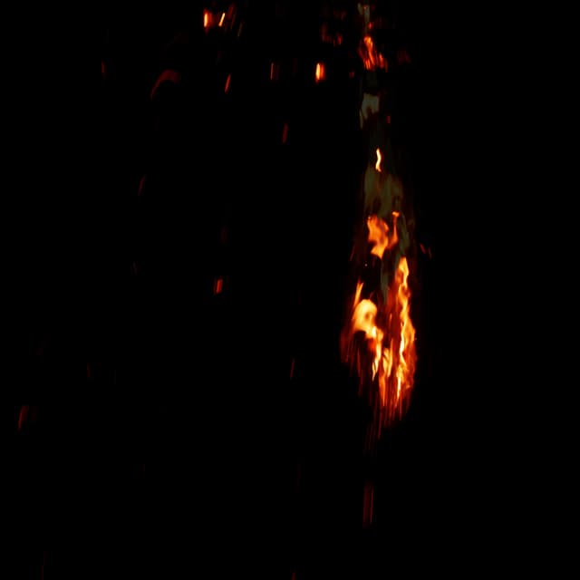 Fire Debris - 031