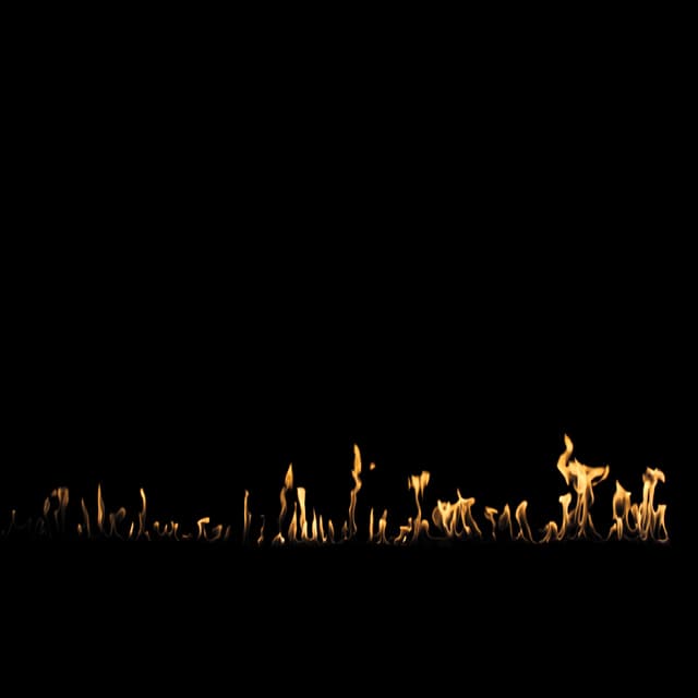Fire Trail - 009