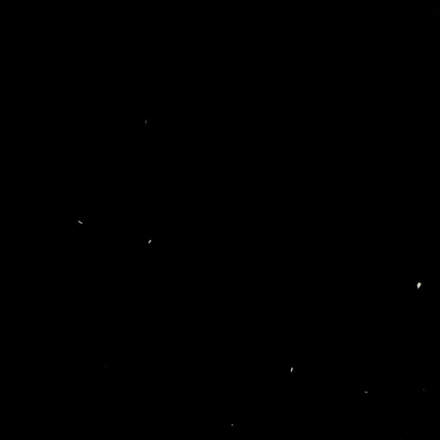 Flying Insects - 001