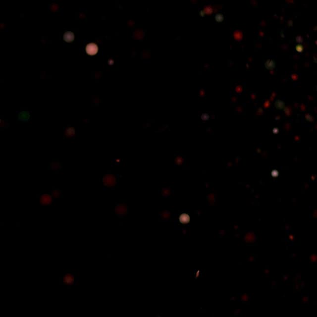 Glitter - 030
