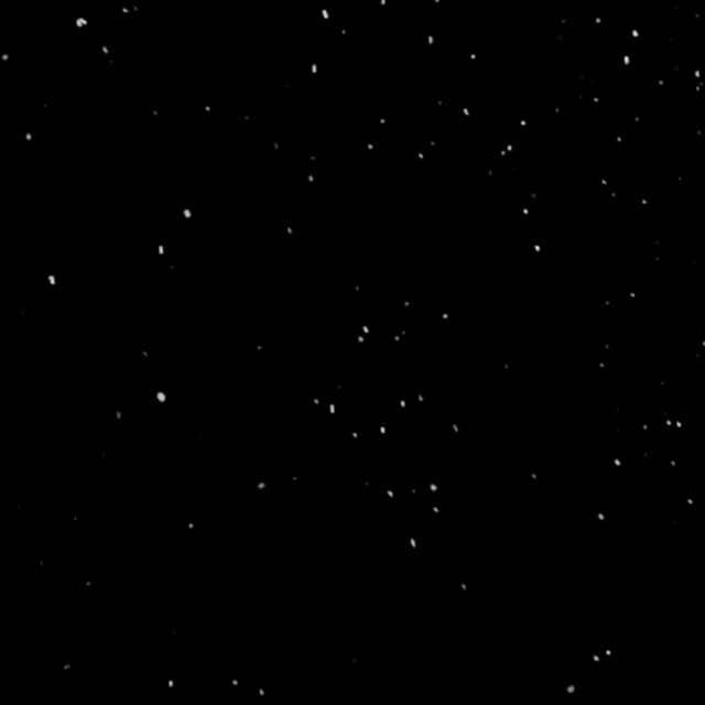 Snow - 003
