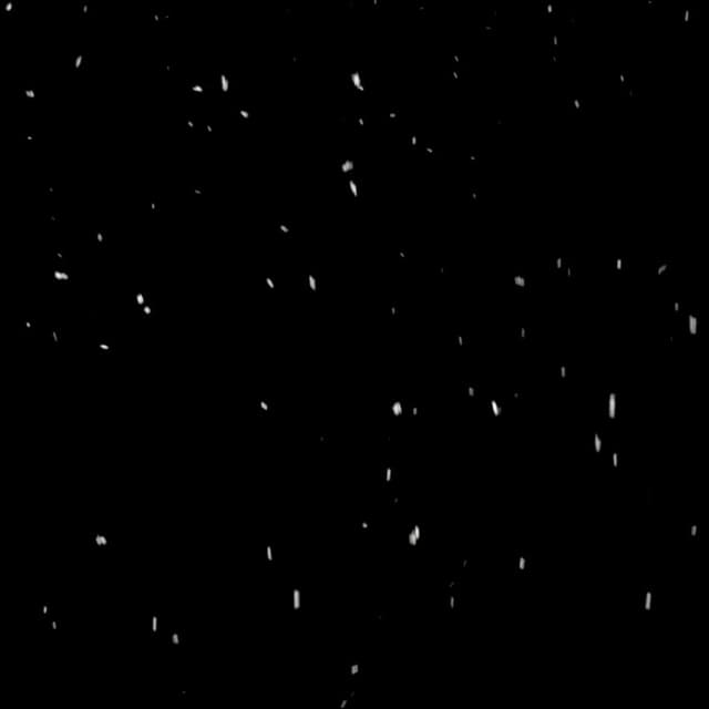 Snow - 024 