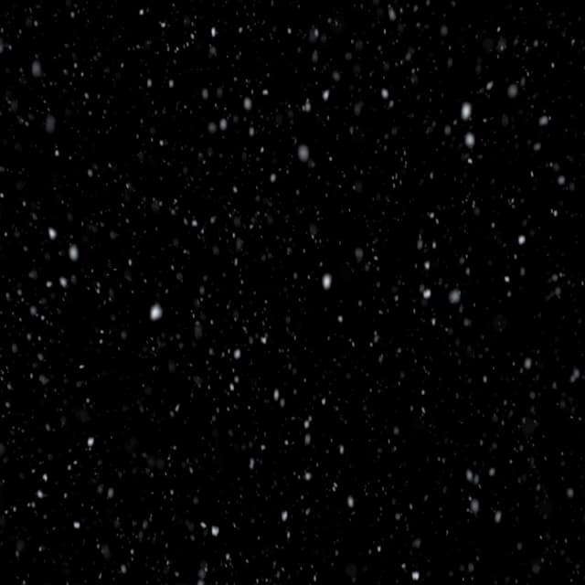 Snow - 039