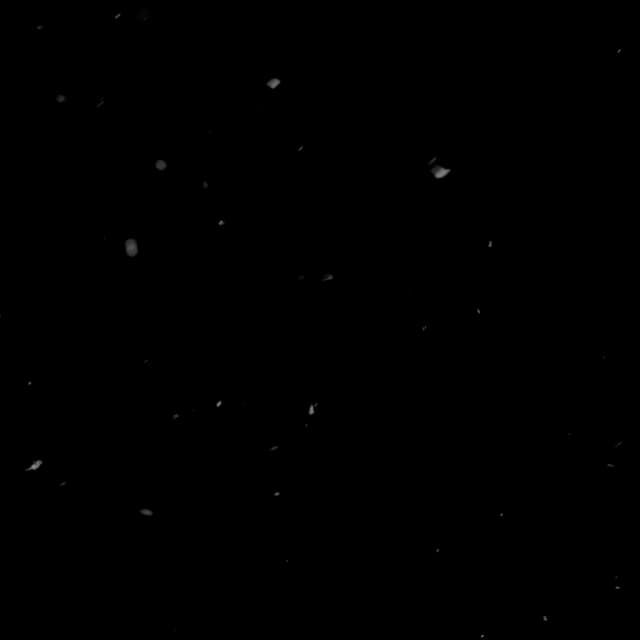 Tree Pollen - 002a
