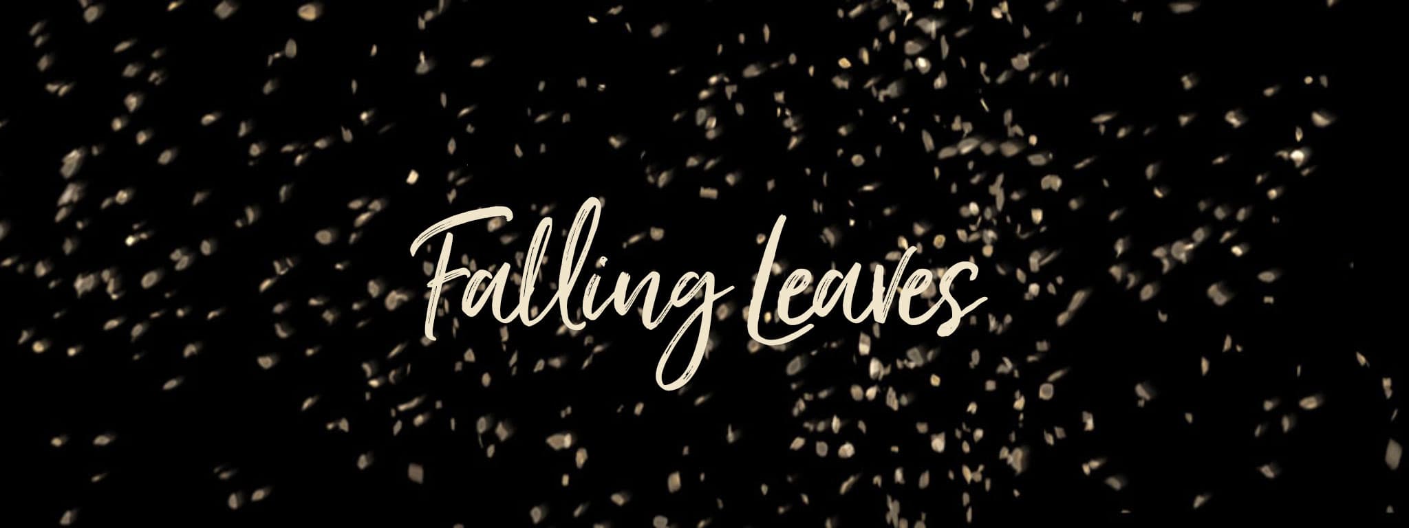 New Footage: 8K Falling Leaves