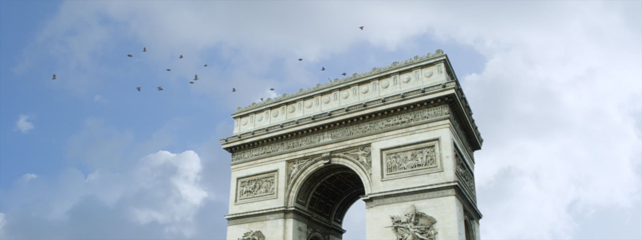 Pigeons & Doves VFX Footage