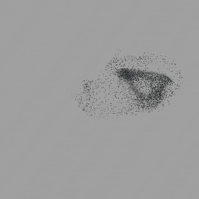 Birds Murmuration - Large Flock - Front - 001