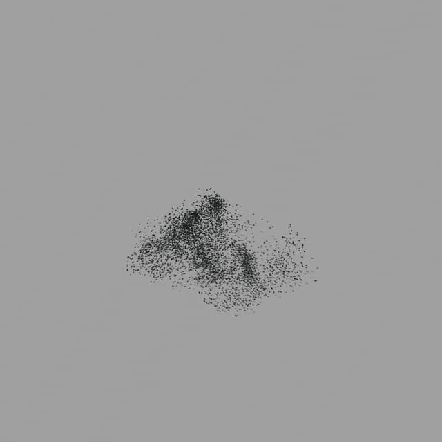 Birds Murmuration - Large Flock - Horizon - 001