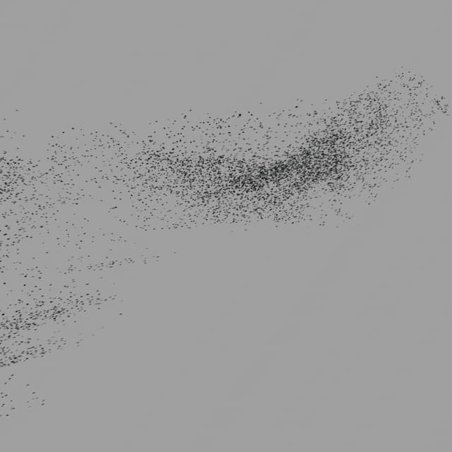 Birds Murmuration - Large Flock - Horizon - 004