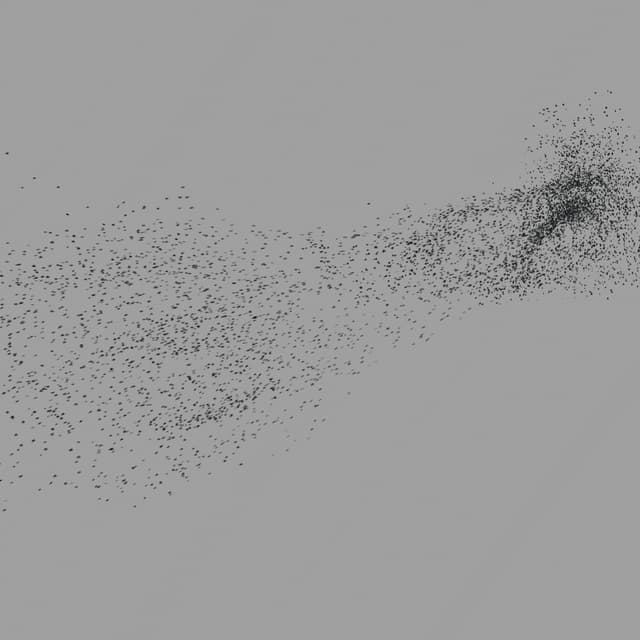 Birds Murmuration - Large Flock - Horizon - 005