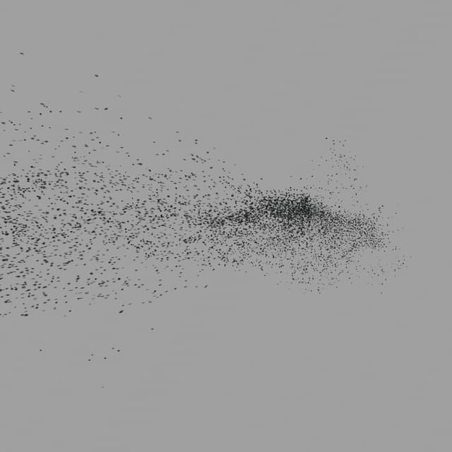 Birds Murmuration - Large Flock - LowAngle - 004
