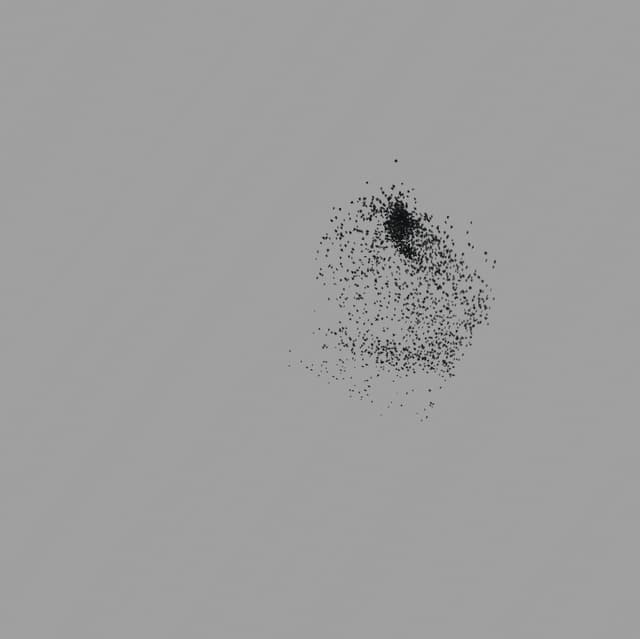 Birds Murmuration - Medium Flock - Front - 002