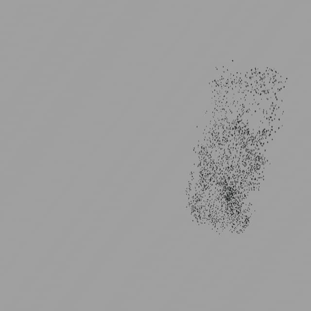 Birds Murmuration - Medium Flock - Front - 003