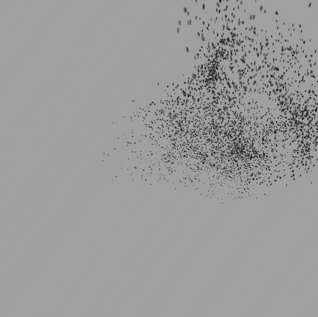 Birds Murmuration - Medium Flock - Front - 004