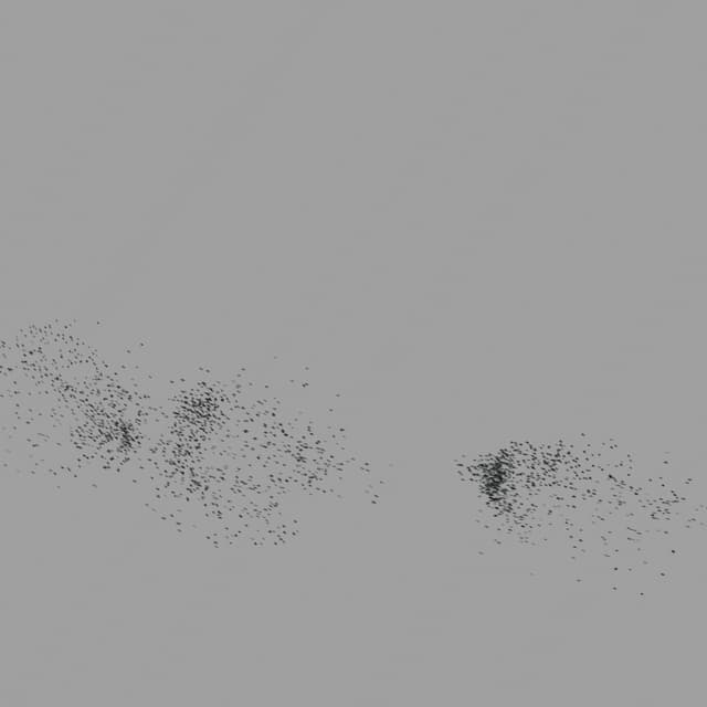 Birds Murmuration - Medium Flock - Horizon - 002