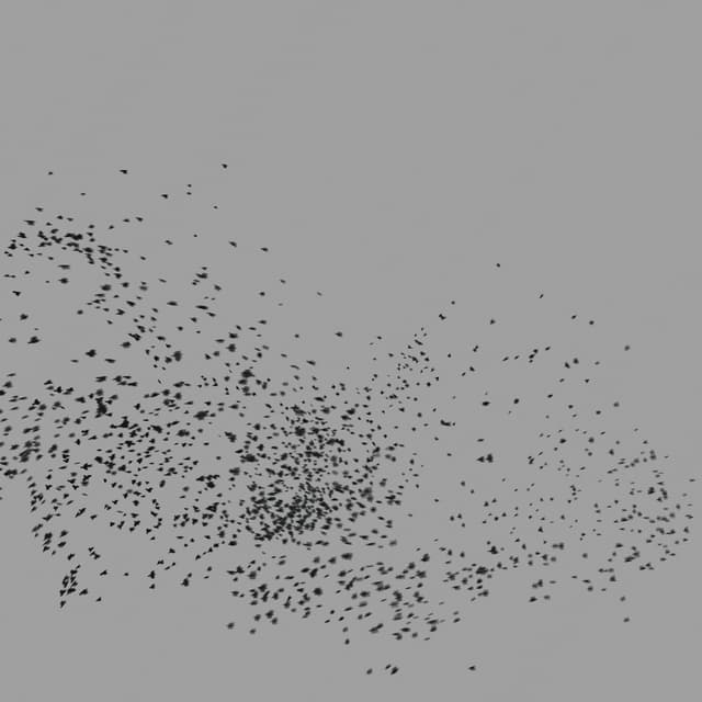 Birds Murmuration - Medium Flock - LowAngle - 001