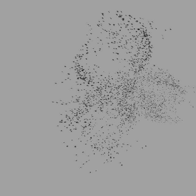 Birds Murmuration - Medium Flock - LowAngle - 003
