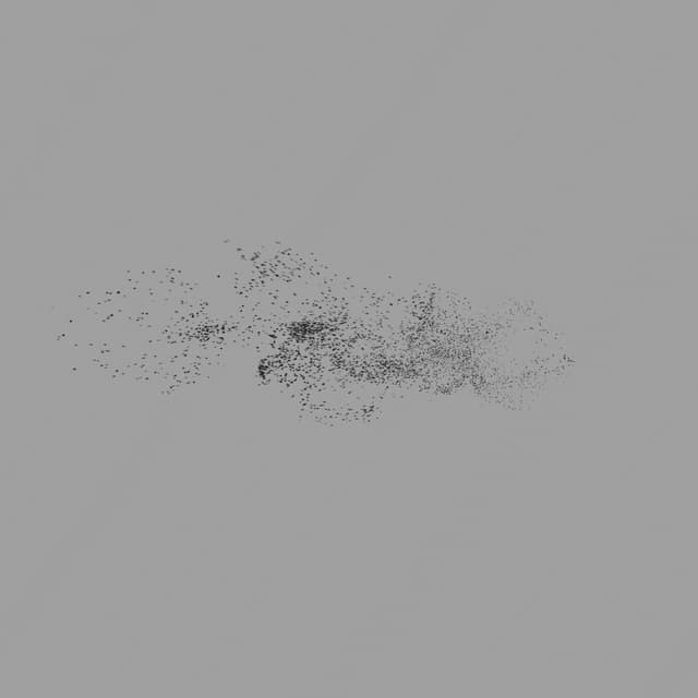 Birds Murmuration - Medium Flock - LowAngle - 004