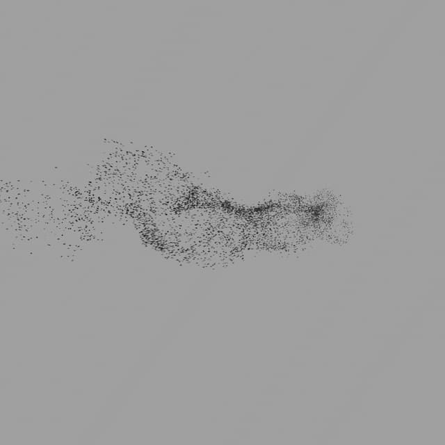 Birds Murmuration - Medium Flock - LowAngle - 005