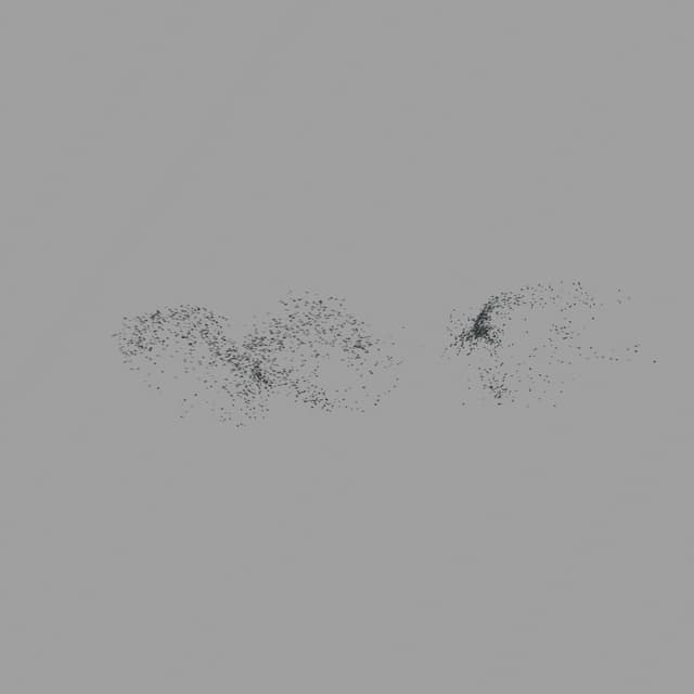 Birds Murmuration - Medium Flock - Overhead - 002