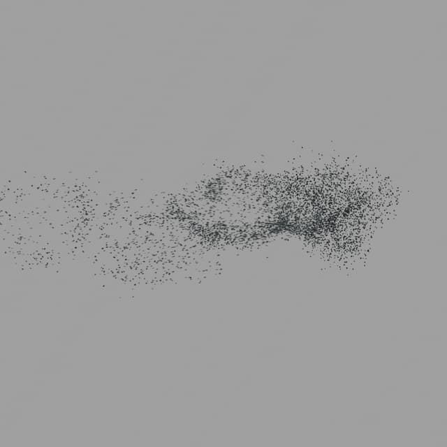 Birds Murmuration - Medium Flock - Overhead - 005