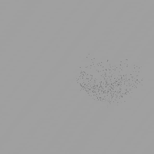 Birds Murmuration - Small Flock - Front - 001