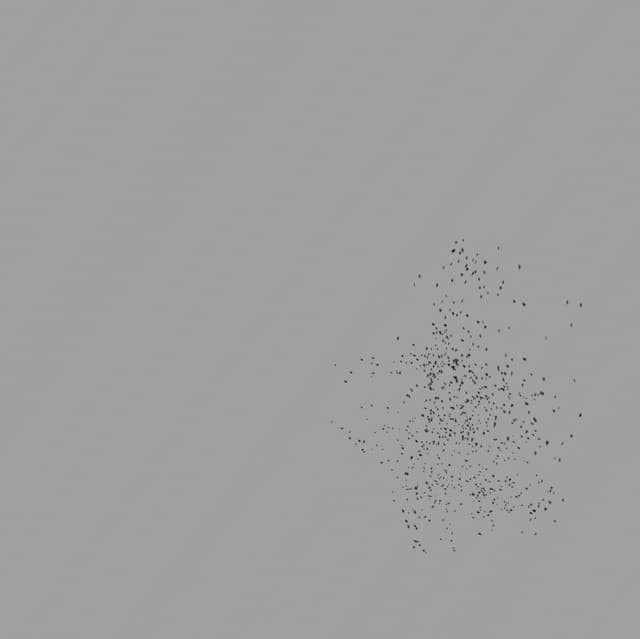 Birds Murmuration - Small Flock - Front - 002
