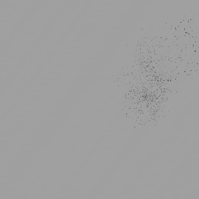 Birds Murmuration - Small Flock - Front - 003