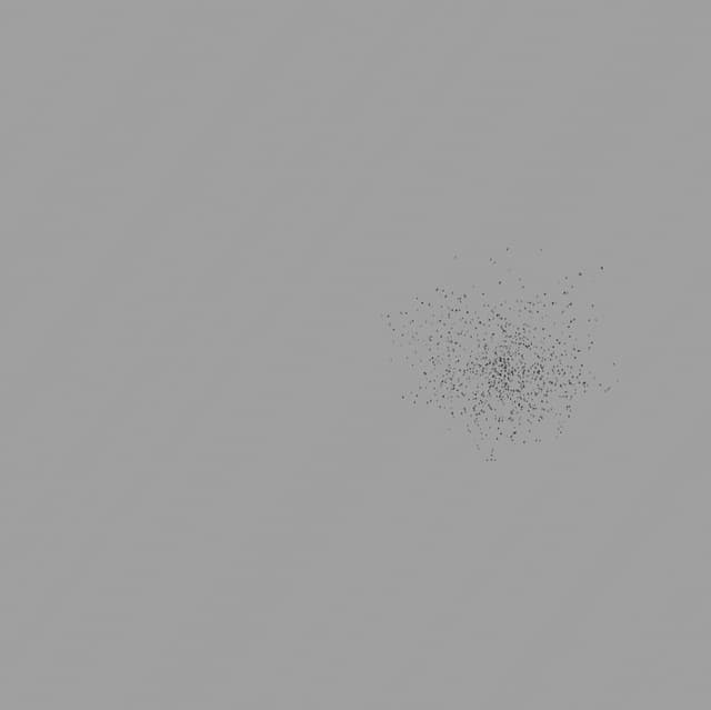 Birds Murmuration - Small Flock - Front - 004
