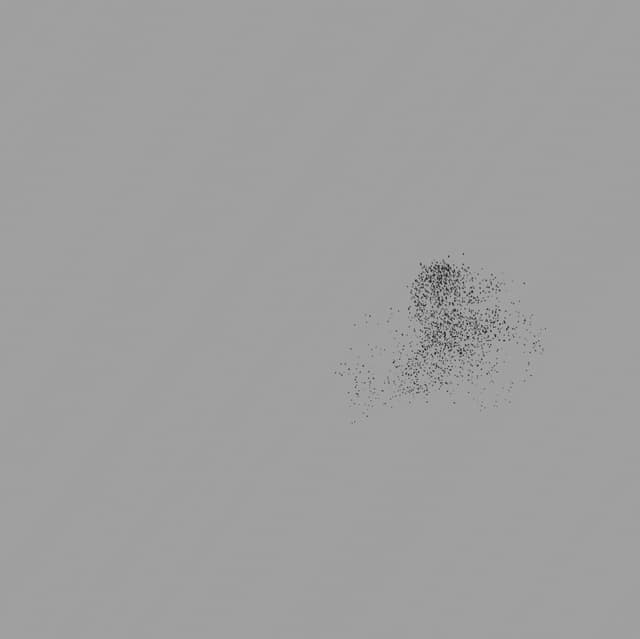 Birds Murmuration - Small Flock - Front - 005