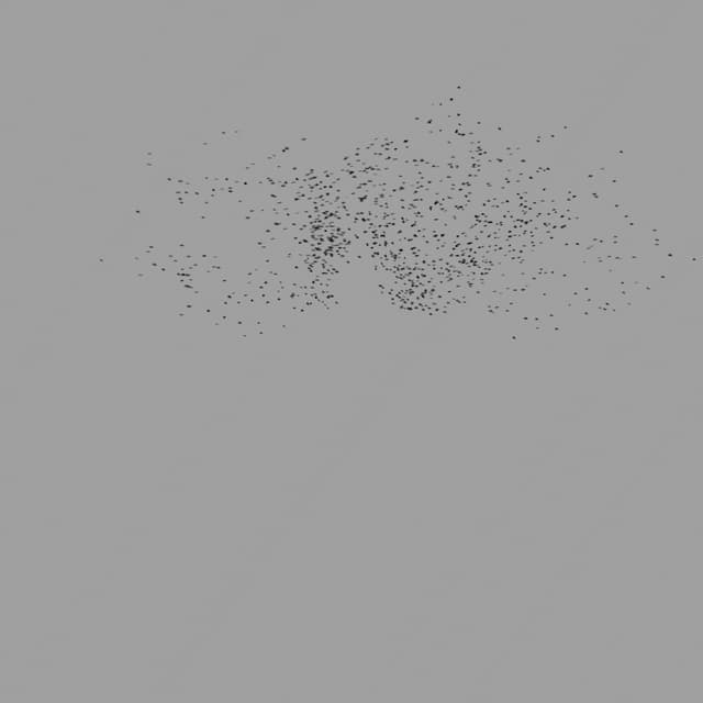 Birds Murmuration - Small Flock - Horizon - 003