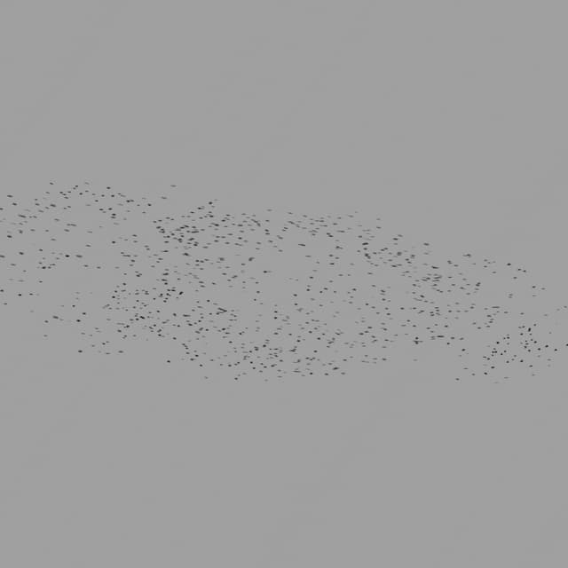 Birds Murmuration - Small Flock - Horizon - 004