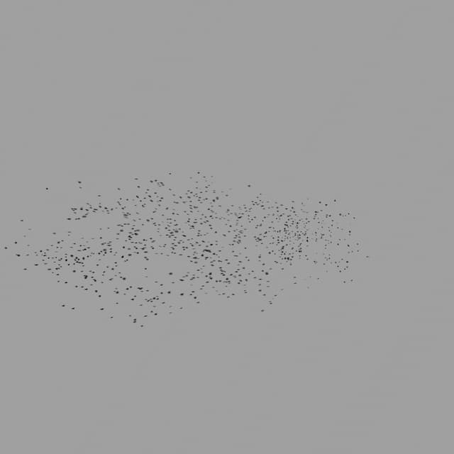 Birds Murmuration - Small Flock - LowAngle - 004