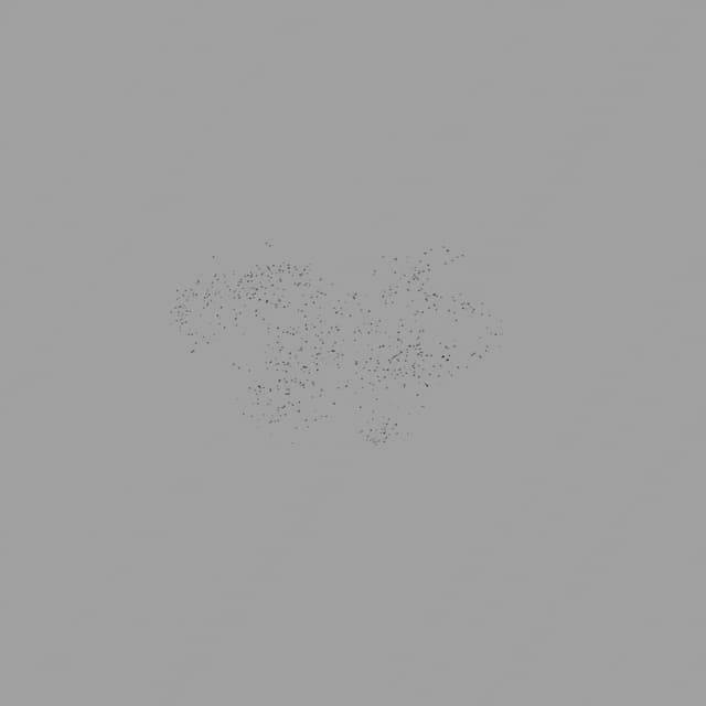 Birds Murmuration - Small Flock - Overhead - 001