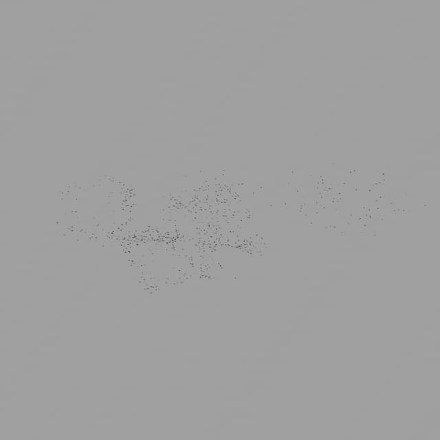 Birds Murmuration - Small Flock - Overhead - 002