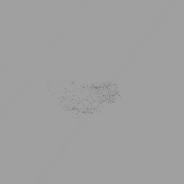 Birds Murmuration - Small Flock - Overhead - 003