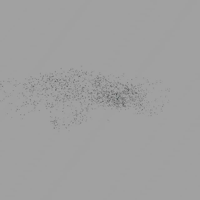 Birds Murmuration - Small Flock - Overhead - 005