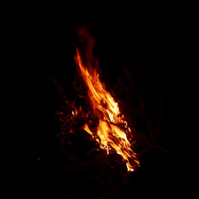 Burning Branch - 005c