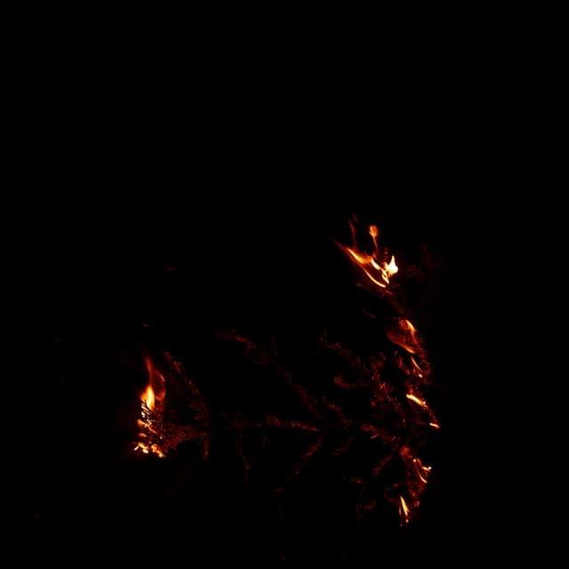 Burning Branch - 007c