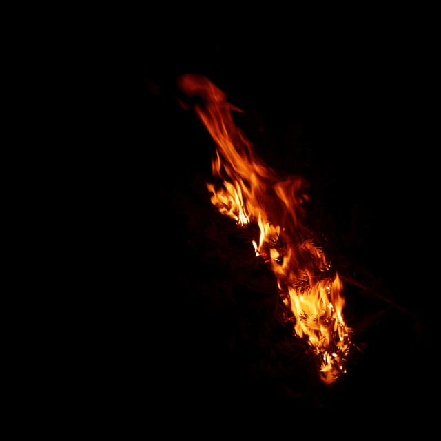 Burning Branch - 008a