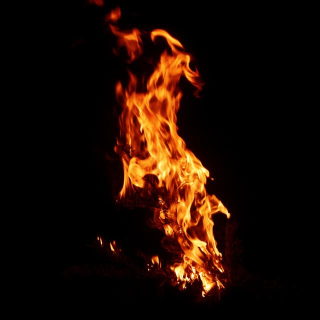 Burning Branch - 015