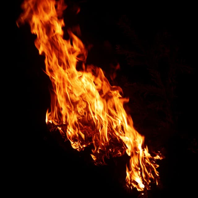 Burning Branch - 018