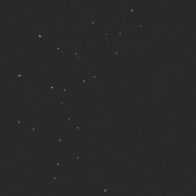 Doves Flock - Circling - Low Angle - 003