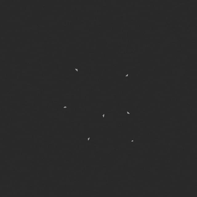 Doves Flock - Circling - Overhead - 001